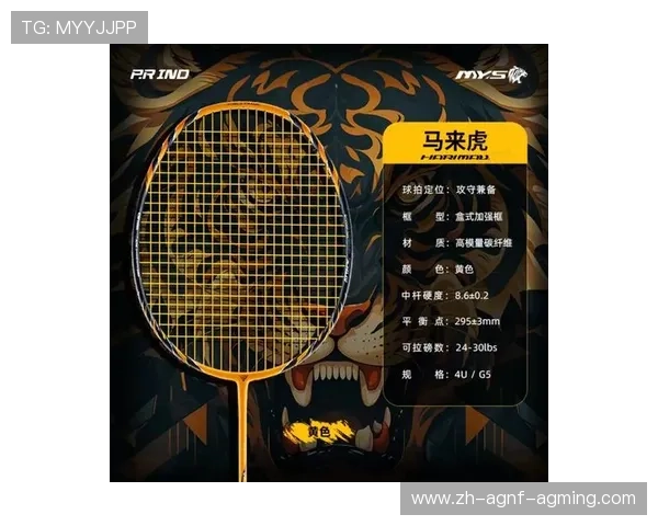 羽毛球球拍测评