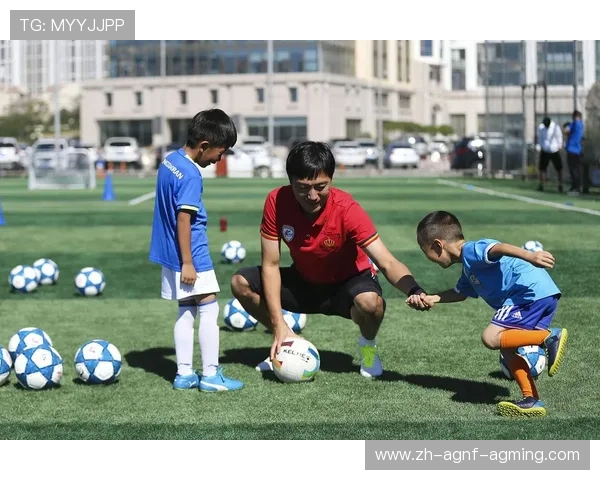 足球备份系统建设是否已覆盖球探资料、战术方案等关键内容